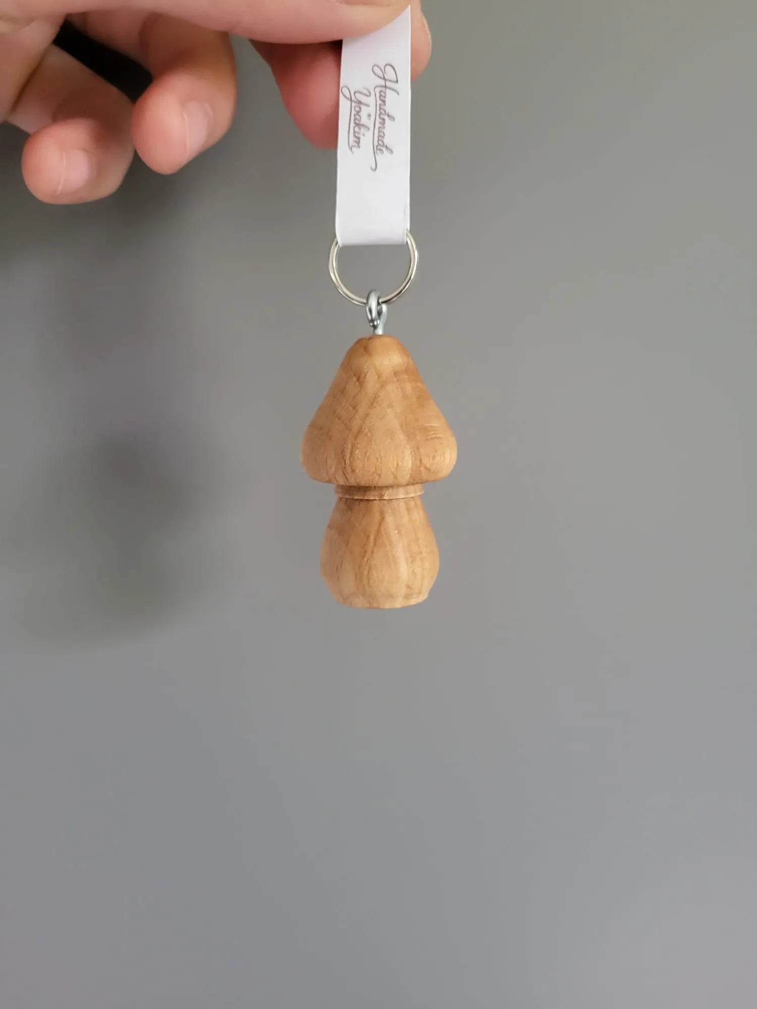 Close-up of the mushroom